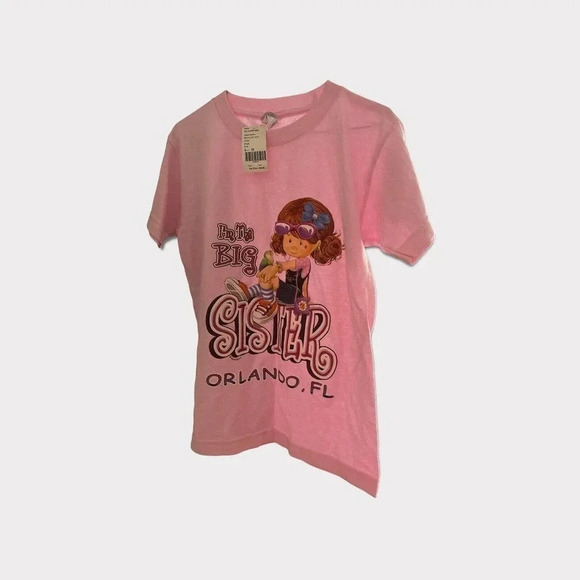 ALSTYLE T SHIRT SIZE YOUTH MEDIUM PINK WITH SAYINGS IM THE BIG SISTER - Picture 1 of 3